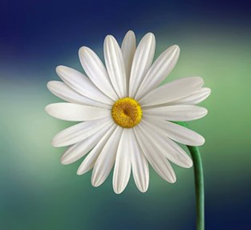 quienes somos-centro Omega